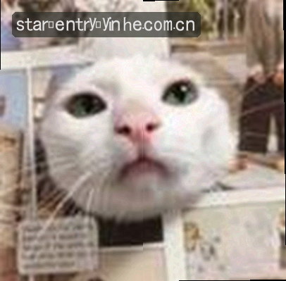 李娜